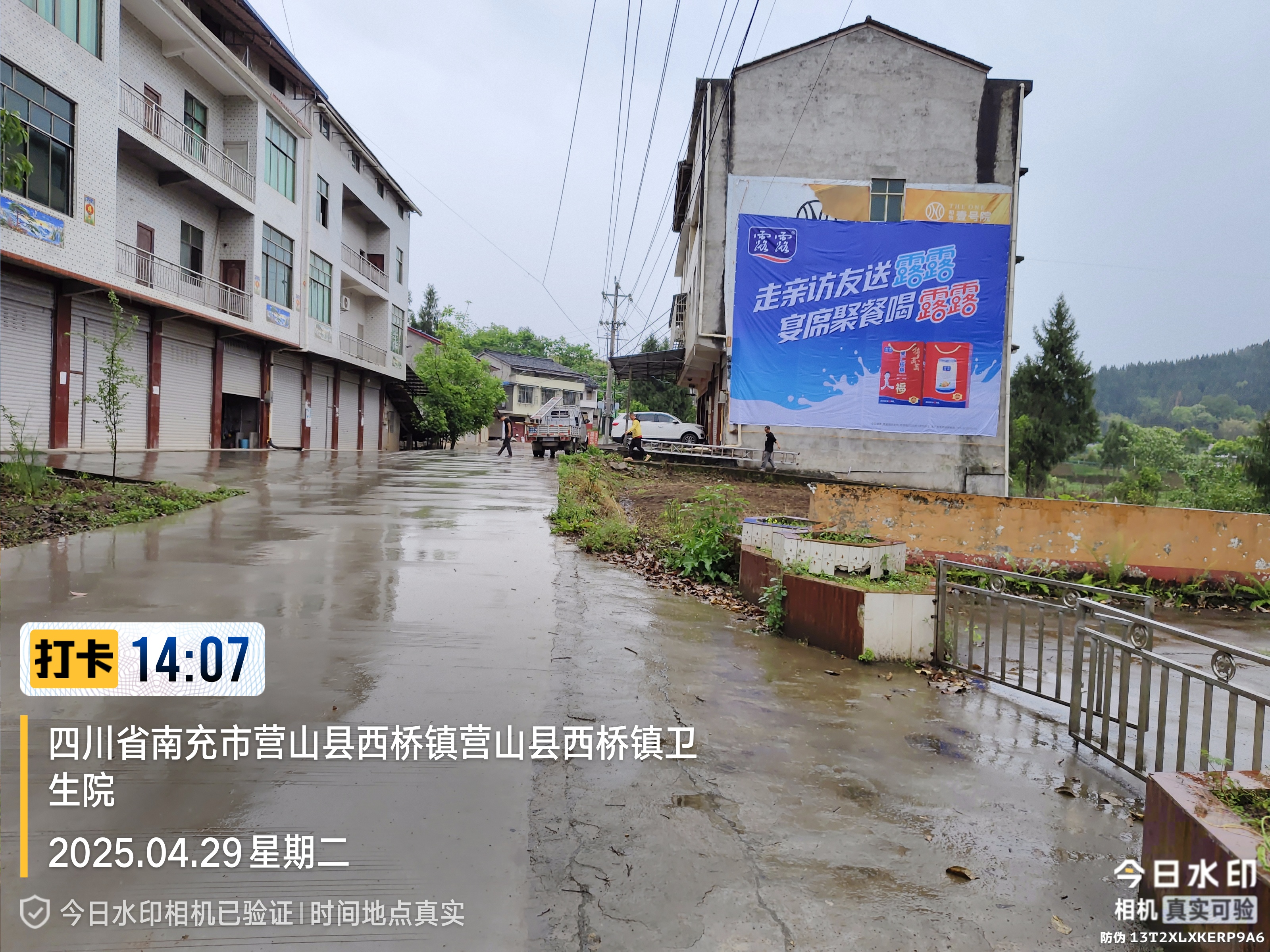 露露14.jpg