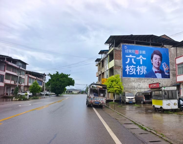 重庆，贵州，四川 六个核桃户外墙体广告——携手重庆钟情广告公司下沉市场